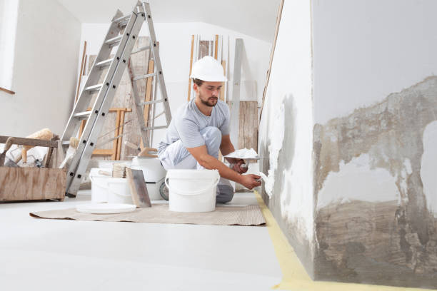 Best Drywall Sanding and Smoothing  in Mays Chapel, MD